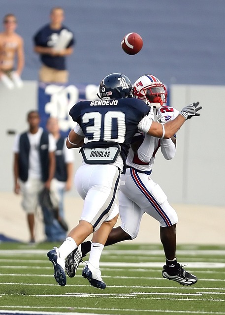 烏度卡的支 烏度卡的支